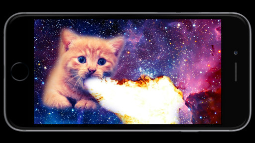 Run android online APK Space Cat Wallpaper from MyAndroid or emulate Space Cat Wallpaper using MyAndroid