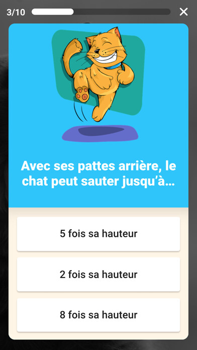 Emulate iPhone app Speez - Les chats using MyAndroid Emulate iPhone app Speez - Les chats using MyAndroid