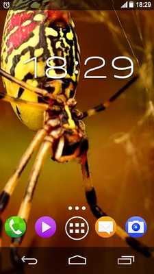 Emulate Android APK Spider in Phone Live Wallpaper Emulate Android APK Spider in Phone Live Wallpaper