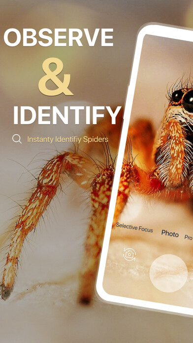 Emulate iPhone app Spiders Identifier by Photo ID using MyAndroid Emulate iPhone app Spiders Identifier by Photo ID using MyAndroid