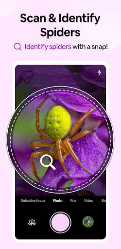 Run android online APK Spiders identifier - Post in Community, InsectID from MyAndroid or emulate Spiders identifier - Post in Community, InsectID using MyAndroid Run android online APK Spiders identifier - Post in Community, InsectID from MyAndroid or emulate Spiders identifier - Post in Community, InsectID using MyAndroid