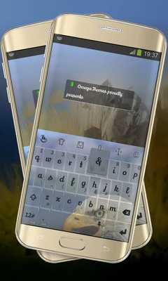 Emulate Android APK Spot the Eagle Keypad Layout Emulate Android APK Spot the Eagle Keypad Layout