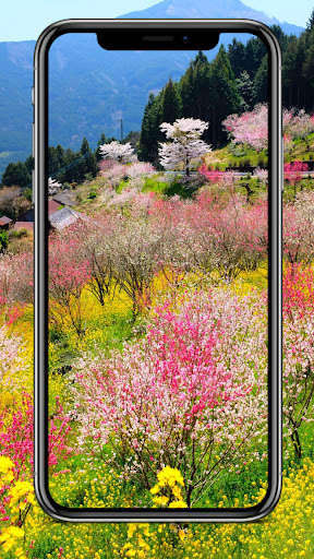 Run android online APK Spring Background from MyAndroid or emulate Spring Background using MyAndroid Run android online APK Spring Background from MyAndroid or emulate Spring Background using MyAndroid