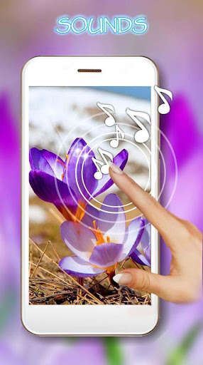 Run android online APK Spring Crocus Snow from MyAndroid or emulate Spring Crocus Snow using MyAndroid Run android online APK Spring Crocus Snow from MyAndroid or emulate Spring Crocus Snow using MyAndroid
