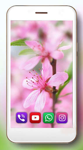 Run android online APK Spring Dreams Live Wallpaper from MyAndroid or emulate Spring Dreams Live Wallpaper using MyAndroid