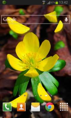 Emulate Android APK Spring Flower LWP Emulate Android APK Spring Flower LWP
