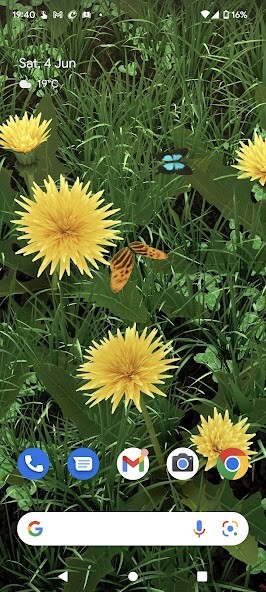 Run android online APK Spring Flowers 3D LWP from MyAndroid or emulate Spring Flowers 3D LWP using MyAndroid