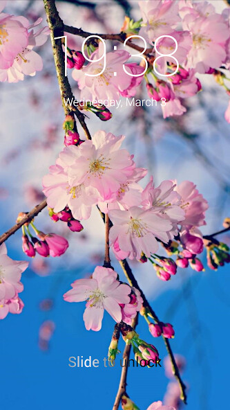 Run android online APK Spring Flowers Lock Screen from MyAndroid or emulate Spring Flowers Lock Screen using MyAndroid Run android online APK Spring Flowers Lock Screen from MyAndroid or emulate Spring Flowers Lock Screen using MyAndroid