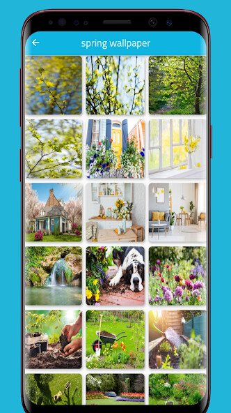 Emulate Android APK Spring Flowers Wallpaper Emulate Android APK Spring Flowers Wallpaper