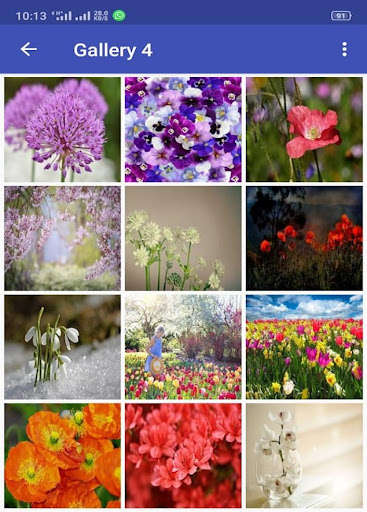 Emulate Android APK Spring Flower Wallpaper Emulate Android APK Spring Flower Wallpaper