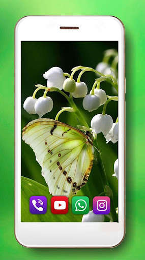 Run android online APK Spring Lilies of Valley from MyAndroid or emulate Spring Lilies of Valley using MyAndroid