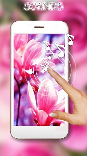 Emulate Android APK Spring Magnolia live wallpaper