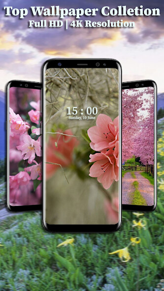 Run android online APK Spring Wallpaper HD from MyAndroid or emulate Spring Wallpaper HD using MyAndroid Run android online APK Spring Wallpaper HD from MyAndroid or emulate Spring Wallpaper HD using MyAndroid