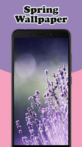 Run android online APK Spring Wallpaper Live from MyAndroid or emulate Spring Wallpaper Live using MyAndroid