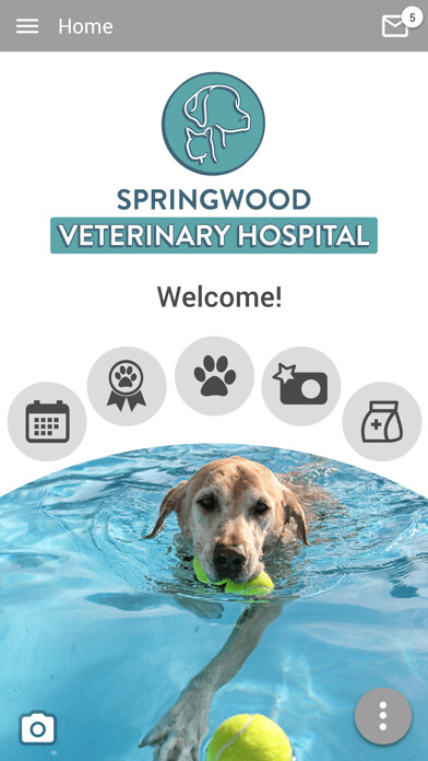 Emulate iPhone app Springwood Vet Hospital using MyAndroid Emulate iPhone app Springwood Vet Hospital using MyAndroid