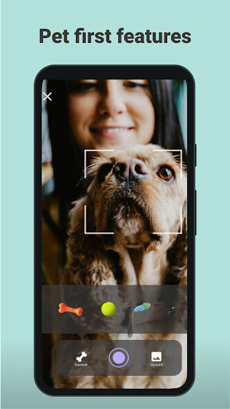 Run android online APK Squeaky Camera pet camera from MyAndroid or emulate Squeaky Camera pet camera using MyAndroid