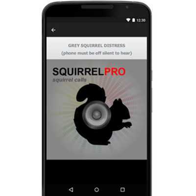 Emulate Android APK Squirrel Call-Squirrel Hunting