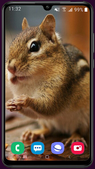 Run android online APK Squirrel HD Wallpaper from MyAndroid or emulate Squirrel HD Wallpaper using MyAndroid Run android online APK Squirrel HD Wallpaper from MyAndroid or emulate Squirrel HD Wallpaper using MyAndroid