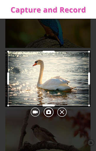 Run android online APK S Shot Editor from MyAndroid or emulate S Shot Editor using MyAndroid
