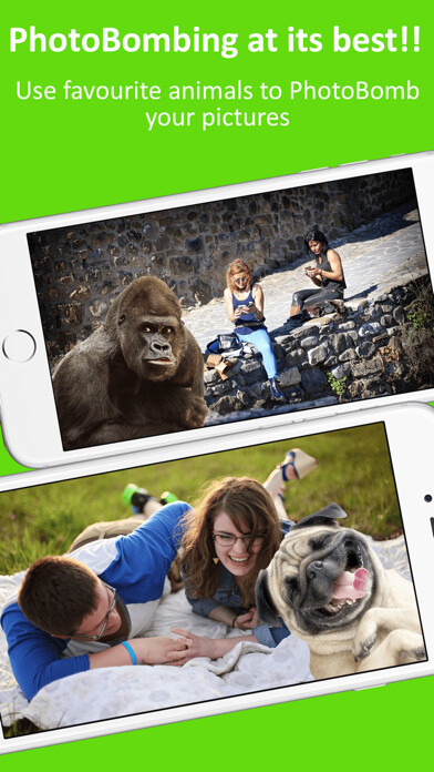 Emulate iPhone app Stick2Me-Animals Photobomb Fun using MyAndroid