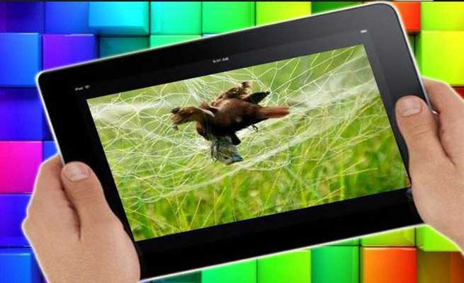 Emulate Android APK Strategic biker - jangle game Emulate Android APK Strategic biker - jangle game
