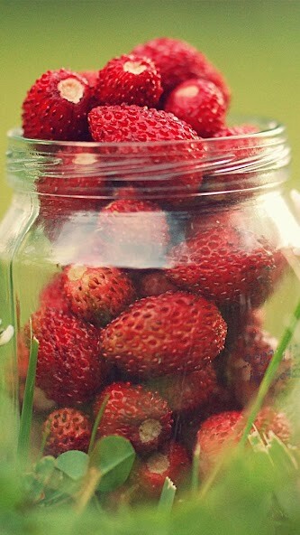 Run android online APK Strawberry Live Wallpaper from MyAndroid or emulate Strawberry Live Wallpaper using MyAndroid
