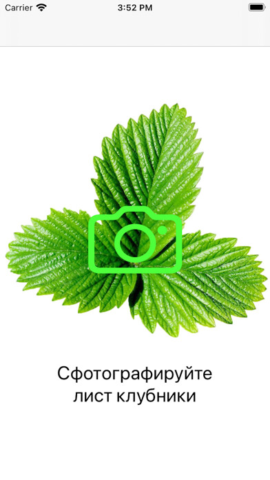 Emulate iPhone app StrawberryX using MyAndroid