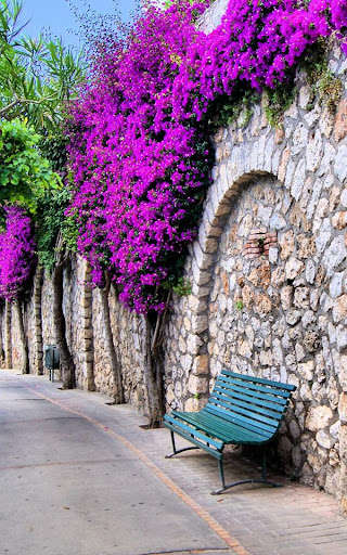 Run android online APK Streets Puzzle from MyAndroid or emulate Streets Puzzle using MyAndroid