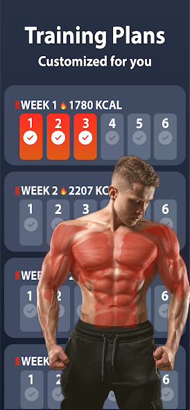 Emulate Strength Training At Home from MyAndroid or run Strength Training At Home using MyAndroid