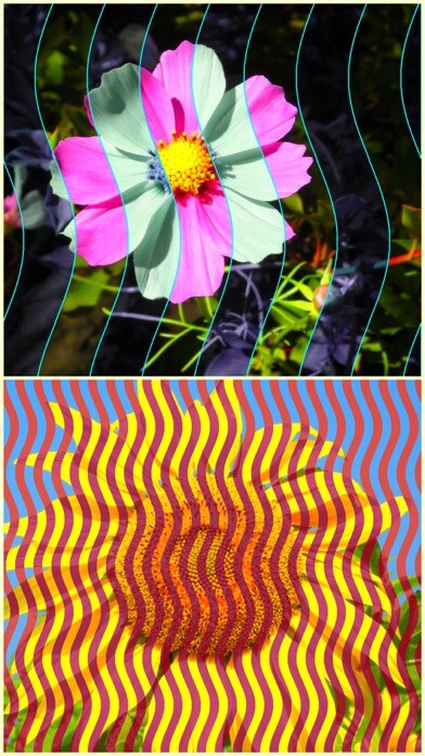Emulate iPhone app StripeImager using MyAndroid Emulate iPhone app StripeImager using MyAndroid