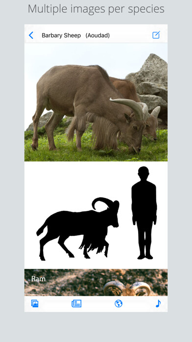 Emulate iPhone app Stuarts European Mammals using MyAndroid