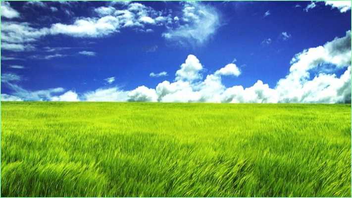 Emulate Android APK Stunning Nature Pictures