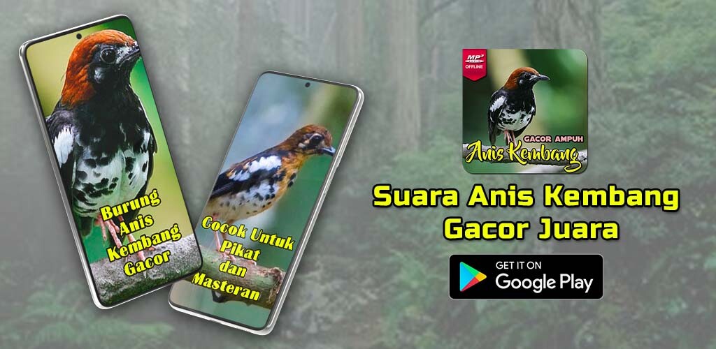 Run android online APK Suara Anis Kembang Gacor Juara from MyAndroid or emulate Suara Anis Kembang Gacor Juara using MyAndroid