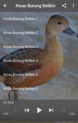 Emulate Android APK Suara Burung Belibis Emulate Android APK Suara Burung Belibis