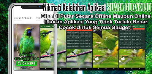 Emulate Android APK Suara Burung Cucak Ijo Gacor Emulate Android APK Suara Burung Cucak Ijo Gacor