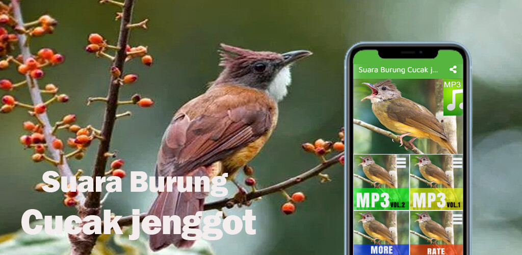 Run android online APK Suara Burung Cucak jenggot from MyAndroid or emulate Suara Burung Cucak jenggot using MyAndroid