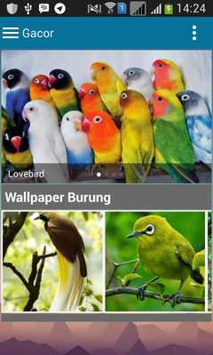 Emulate Android APK Suara Burung Gacor Emulate Android APK Suara Burung Gacor