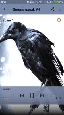 Emulate Android APK Suara Burung Gagak Emulate Android APK Suara Burung Gagak
