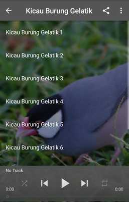 Emulate Android APK Suara Burung Gelatik
