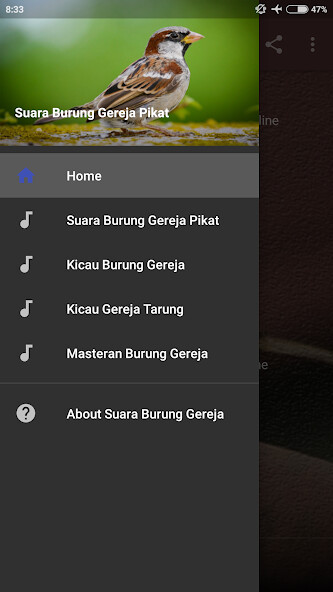 Run android online APK Suara Burung Gereja Pikat from MyAndroid or emulate Suara Burung Gereja Pikat using MyAndroid