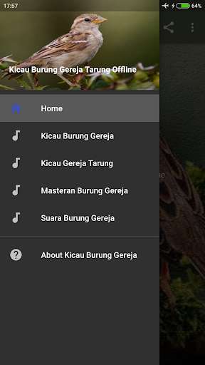 Run android online APK Suara Burung Gereja Tarung Offline from MyAndroid or emulate Suara Burung Gereja Tarung Offline using MyAndroid Run android online APK Suara Burung Gereja Tarung Offline from MyAndroid or emulate Suara Burung Gereja Tarung Offline using MyAndroid