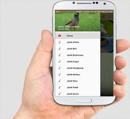 Emulate Android APK SUARA BURUNG JALAK LENGKAP