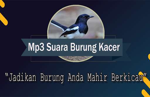 Run android online APK Suara Burung Kacer Betina Memanggil Jantan from MyAndroid or emulate Suara Burung Kacer Betina Memanggil Jantan using MyAndroid