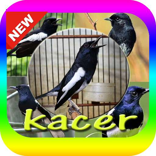 Emulate Android APK Suara Burung Kacer Mp3 Emulate Android APK Suara Burung Kacer Mp3