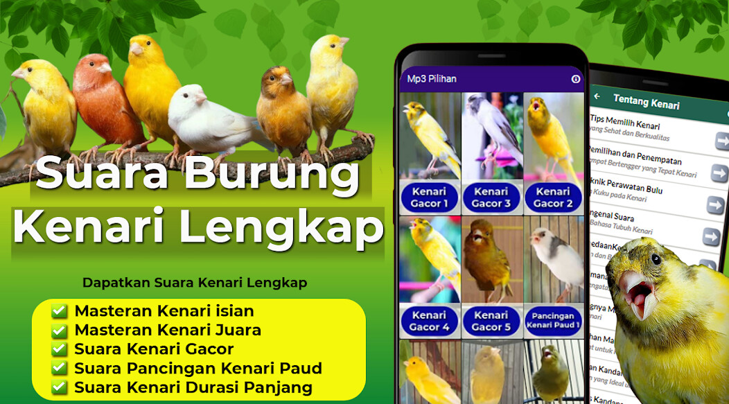 Run android online APK Suara Burung Kenari Gacor from MyAndroid or emulate Suara Burung Kenari Gacor using MyAndroid Run android online APK Suara Burung Kenari Gacor from MyAndroid or emulate Suara Burung Kenari Gacor using MyAndroid