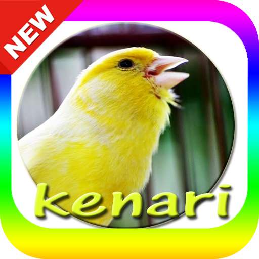 Run android online APK Suara Burung Kenari Mp3 from MyAndroid or emulate Suara Burung Kenari Mp3 using MyAndroid Run android online APK Suara Burung Kenari Mp3 from MyAndroid or emulate Suara Burung Kenari Mp3 using MyAndroid