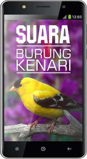 Run android online APK Suara Burung Kenari from MyAndroid or emulate Suara Burung Kenari using MyAndroid