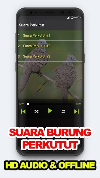Run android online APK Suara Burung: Kicau Perkutut from MyAndroid or emulate Suara Burung: Kicau Perkutut using MyAndroid Run android online APK Suara Burung: Kicau Perkutut from MyAndroid or emulate Suara Burung: Kicau Perkutut using MyAndroid