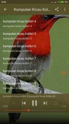 Emulate Android APK Suara Burung Kolibri Gacor Emulate Android APK Suara Burung Kolibri Gacor