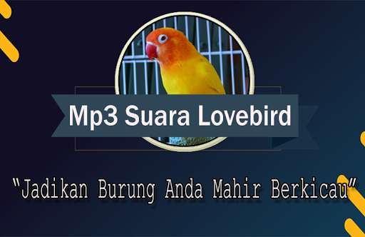 Run android online APK Suara Burung Lovebird Betina Offline from MyAndroid or emulate Suara Burung Lovebird Betina Offline using MyAndroid